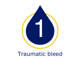 Number of traumatic bleeds